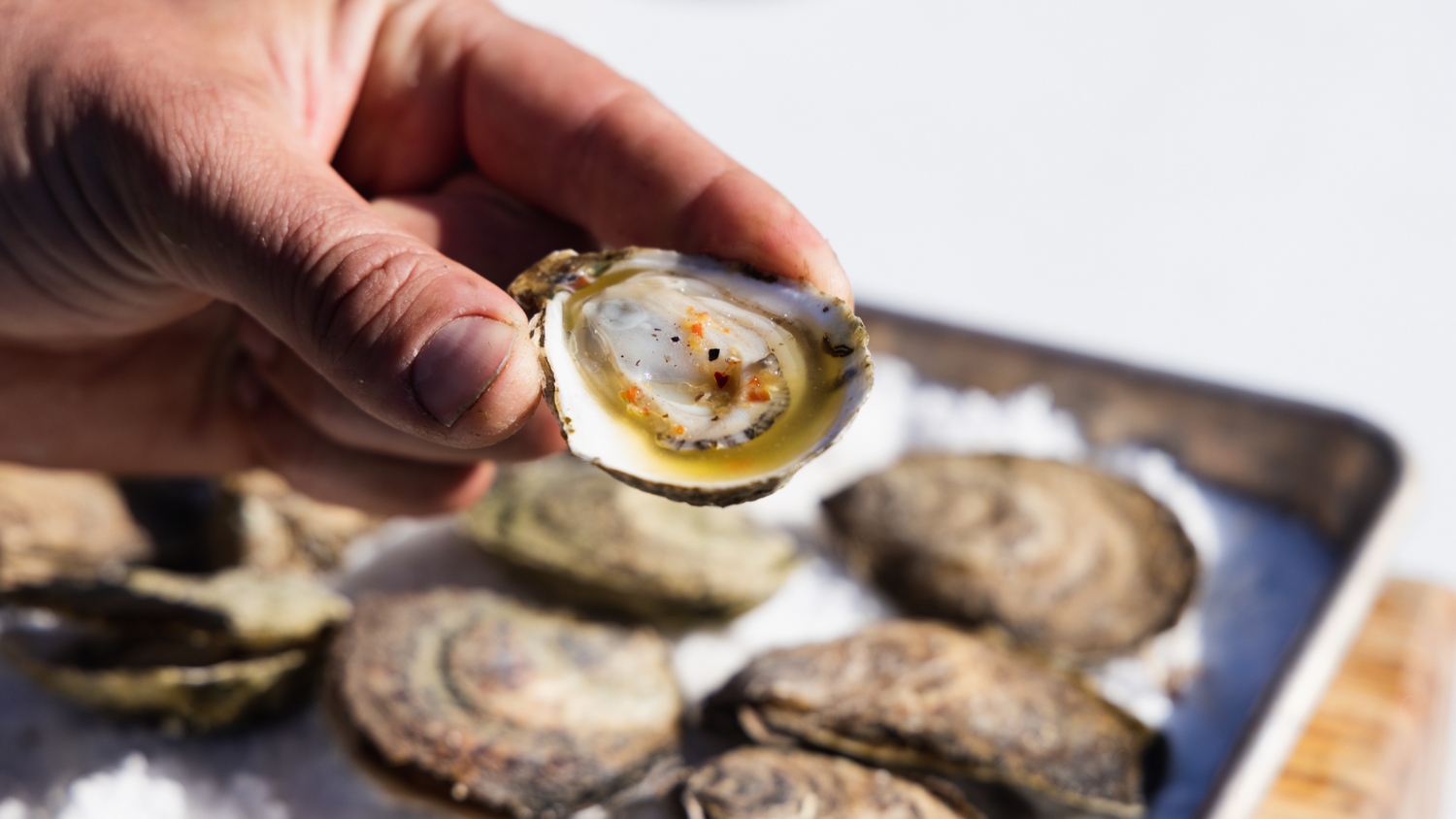 Roasted Oysters
