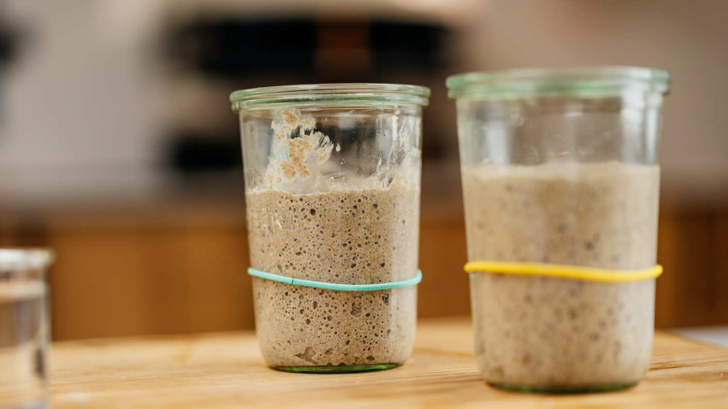 Sourdough Starter Recipe - Roccbox